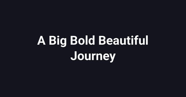 A Big Bold Beautiful Journey